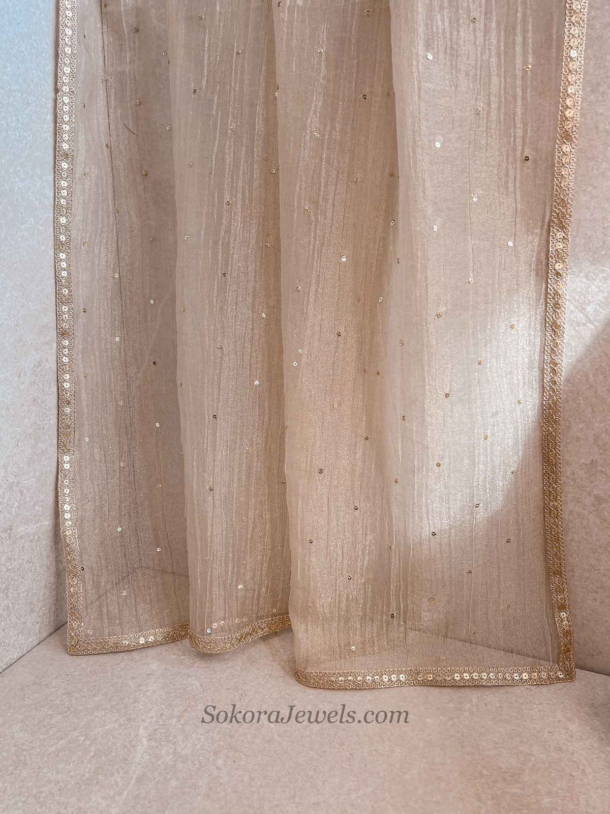Champagne Gold Sequin Border Occasion Dupatta