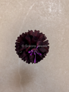 5 Piece Hair Flowers Pins - 8 Colour Options