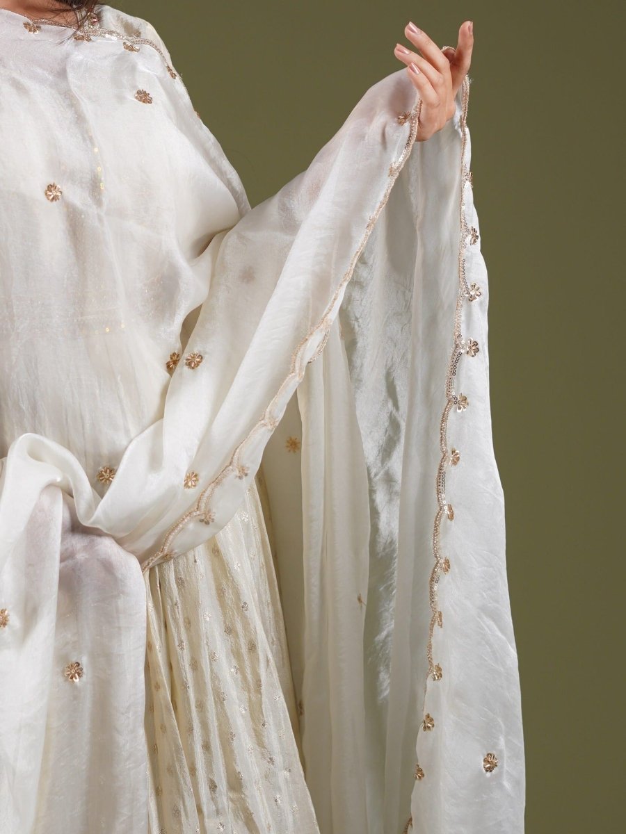 Ivory Embellished Occasion Dupatta - SOKORA JEWELSIvory Embellished Occasion Dupatta